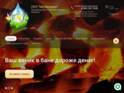 Мегасервис - интернет магазин товаров для здоровья г. Владивосток