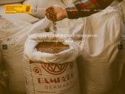 Березняковская честная пивоварня — Крафтовое производство пива в Тюмени