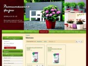Продажа комнатных растений и цветов: Агава, Алоказия, Алое Вера