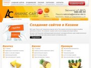 АНАНАС - Создание, продвижение, поддержка сайтов в Казани