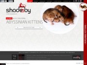 Питомник абиссинских кошек "SHADEABY"