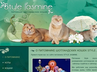 О питомнике - Питомник шотландских кошек Style Jasmine г. Санкт-Петербург
