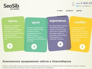 Поисковое seo продвижение сайтов и раскрутка сайтов в Новосибирске от компании 