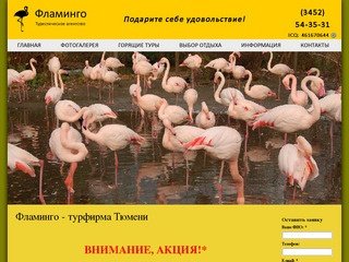 Турфирма в Тюмени, туристическое агентство, тюменское турагентство - Фламинго, Тюмень
