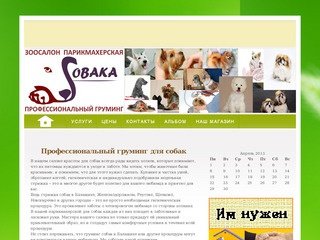 Стрижка собак в Балашихе, Железнодорожный, Реутов, Щелково, Новогиреево