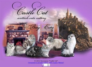 Castle Cat: scottish cats cattery