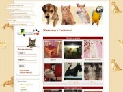 Собаки, кошки, хомяки и рыбки в Смоленске | ZooСмоленск