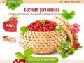 Купить землянику свежую лесную в Москве, продажа ягоды оптом