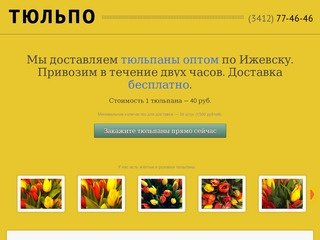 Тюльпо: доставка тюльпанов оптом по Ижевску, телефон 77-46-46