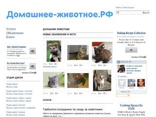 Домащние животные . РФ :  отдам даром собака , кошку, продам и куплю животное, найти услуги в Москве