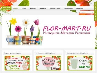 Интернет магазин цветов, горшечные растения, срезы цветов, букет 101 роза