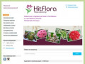 HitFlora | Пеларгонии и колеусы. Купить с доставкой по Челябинску. Оплата при получении.