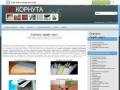 |ЧП Корнута| Строительные материалы в Днепропетровске, Украина