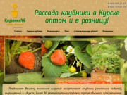 Рассада клубники в Курске 