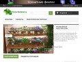 Комнатные растения в Смоленске, купить фиалки и химеры в подарок - Цветы Смоленск