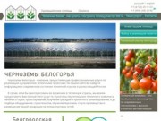 Тепличные проекты - Черноземы Белогорья