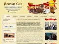 Brown Cat - Питомник персидских кошек редкого шоколадного окраса