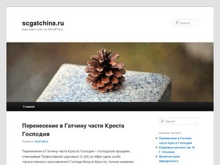 Scgatchina.ru | Ещё один сайт на WordPress