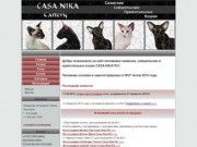 Информация о питомнике сиамских, сейшельских и ориентальных кошек CASA NIKA*RU