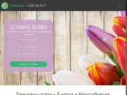 Тюльпаны оптом Новосибирск – купить тюльпаны недорого в Новосибирске!