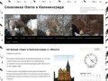 Соколиная Охота в Калининграде | Качественный отдых в Калининградской области и за её пределами