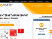 Реклама в интернете от маркетолога в Екатеринбурге - Mikushin.com