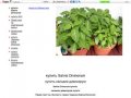 Купить Salvia Divinorum / 


	купить salvia divinorum