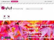 Интернет-магазин товаров для рукоделия в Санкт-Петербурге (СПб)