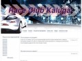 Race Club Kaluga  - уличные гонки нового поколения