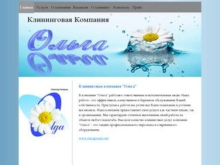 Клининговая компания "Ольга"