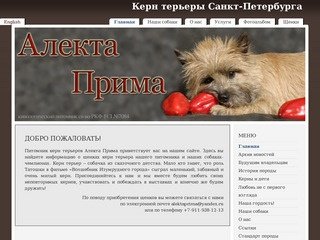 Керн терьеры Санкт-Петербурга