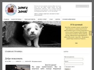 Иркутский сайт помощи бездомным животным 