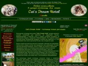 Гостиница для кошек в Москве Cats Dream Hotel - гостиница для животных.