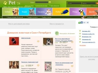 Домашние животные в Санкт-Петербурге: продажа животных, дарение