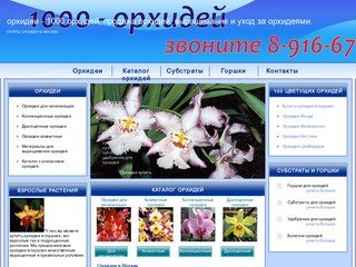 Орхидеи, продажа орхидей, продажа и уход за орхидеями, купить орхидеи в Москве