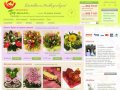 Продажа букетов на заказ. Заказать букет из цветов в Москве через интернет магазин