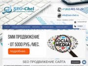 SEO | SMM продвижение сайтов в Челябинске и по всей России