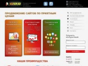 Заказать продвижение сайтов в Уфе | 102top.ru