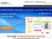 Компания liluweb.ru: готовые интернет магазины под ключ