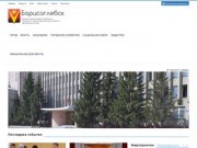 Официальный сайт Борисоглебска