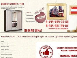 Шкафы-Купе на Заказ Дешево в Орехово-Зуево 
