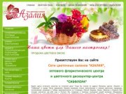 Продажа цветов | Интернет магазин цветов (Омск) - Цветочная компания "Азалия"