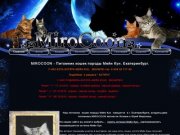 Mirocoon.ru