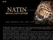 Разведение и продажа бенгальских котят НАТИН