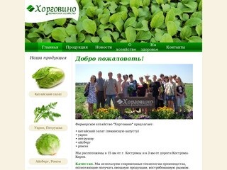 Хорговино Кострома - продажа укропа оптом, пекинской капусты опт