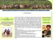 Компания ООО«Снайп» предлагает - Кумыс (натуральный из кобыльего молока)лошади башкирской породы