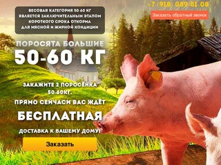 Купить поросят, молочных, маленьких, живых, мясных пород на откорм в Челябинске и области
