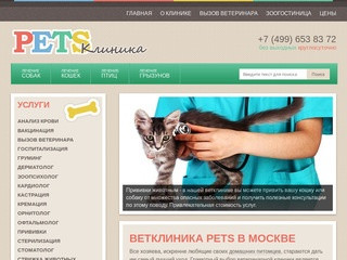 Круглосуточная ветеринарная Клиника Pets Clinic в Москве