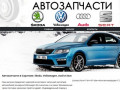 Автозапчасти в Саратове: Skoda, Volkswagen, Audi и Seat. | VAG