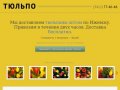 Тюльпо: доставка тюльпанов оптом по Ижевску, телефон 77-46-46